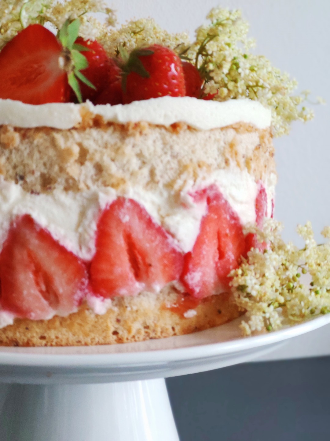 Erdbeer-Holunder Torte - Meine Kostbarkeiten Erdbeer-Holunder Torte - Meine Kostbarkeiten